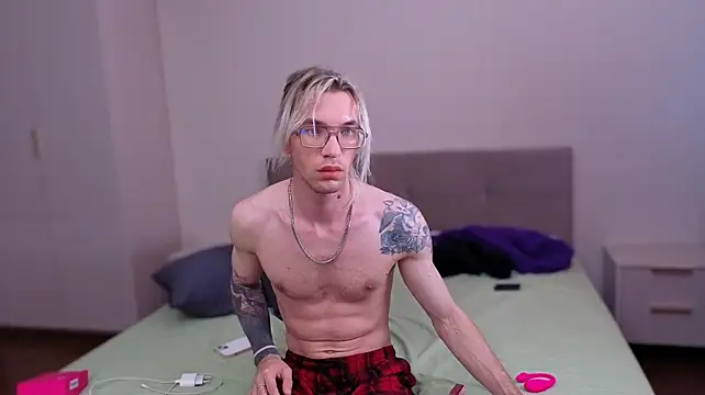 FelixMod webcam