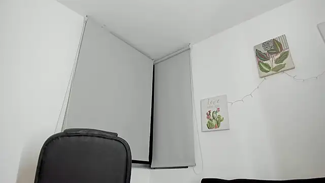 Modèle: barbie_ds