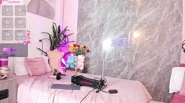 Meg_Stein