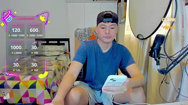 clarkdangerous webcam