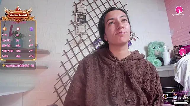 SALOME_KORLAND webcam