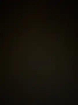 TheDime webcam