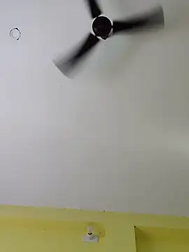 Minakshi-Gi webcam