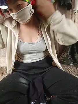 Hiha-nn webcam