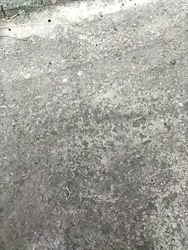 Pitercom live cam preview
