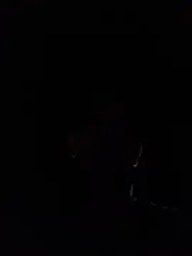 jpcowbow