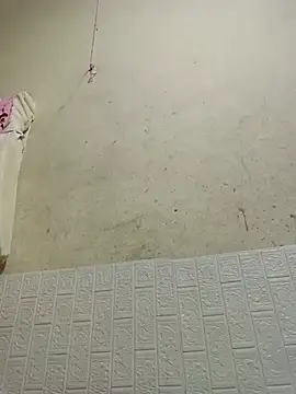 Sana-vn webcam