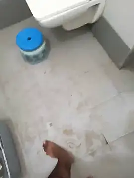 yaradayar live cam preview