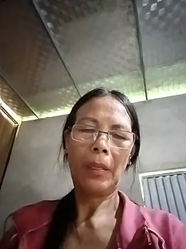 toyo_668 webcam