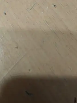 Poipoi__30