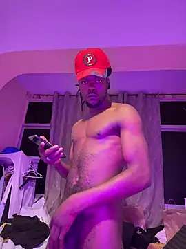 Perversostrip