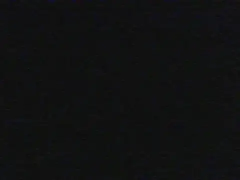shugabaibe
