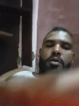 Lion_meis webcam