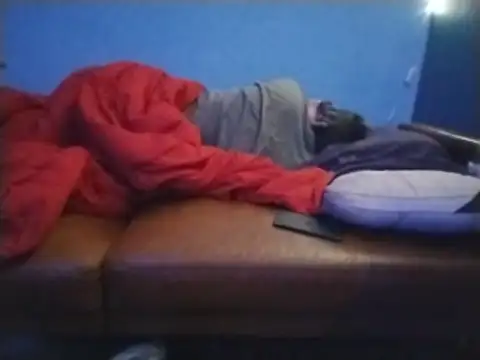 ReallyReallyReal webcam