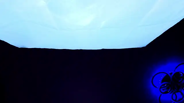 PerryKitty webcam