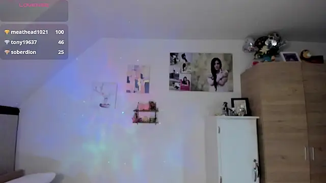 Veronikolsen- webcam