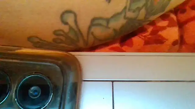 ThorsonFreja webcam