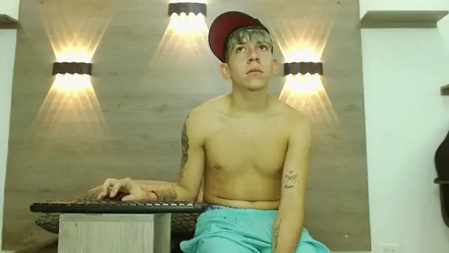 Gaeliitto webcam