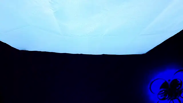 PerryKitty webcam