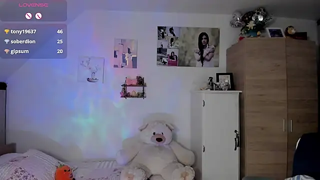 Veronikolsen- webcam