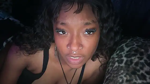Altslxt webcam