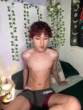 noynxz webcam