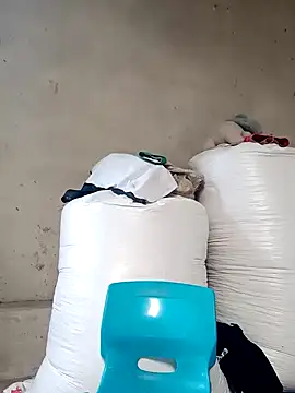 GinieBaby live cam preview