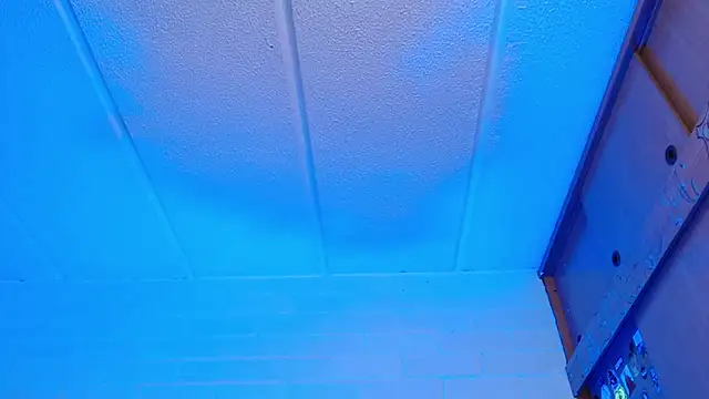 Amy66 webcam
