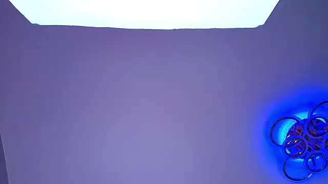 PerryKitty webcam
