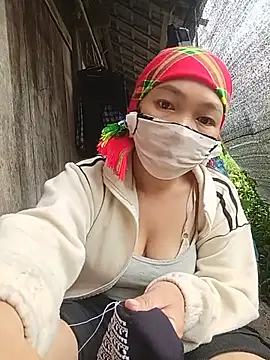 Hiha-nn webcam