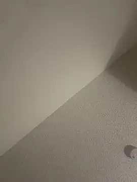 calivue2006 live cam on StripChat