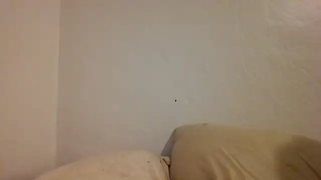 ThorsonFreja webcam