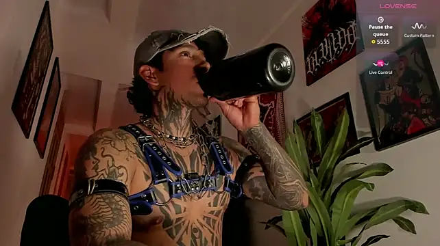 TigerStripes1_ live cam on StripChat