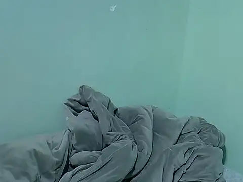 lainearia webcam