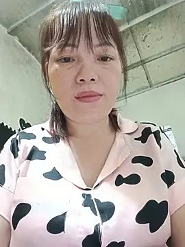 Sana-vn webcam