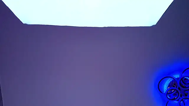 PerryKitty webcam