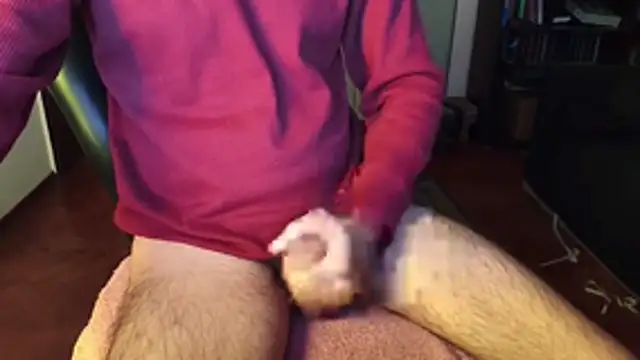 rumplstink live cam preview