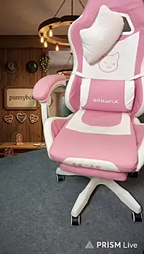 Punnybee webcam
