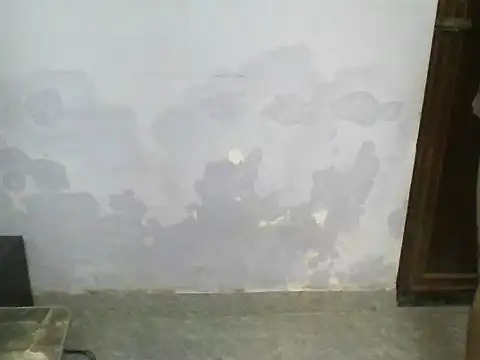kissassssss live cam preview