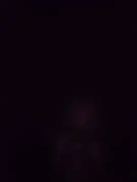 alexa_paloma2