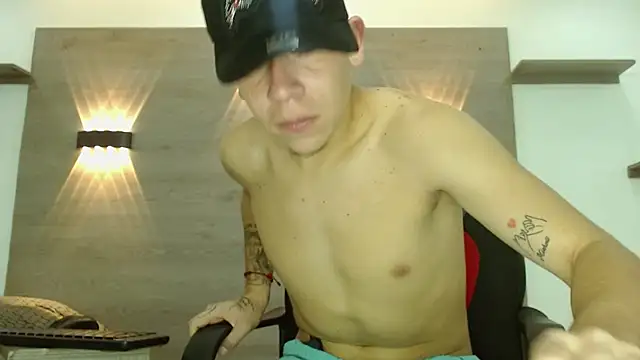 Gaeliitto webcam