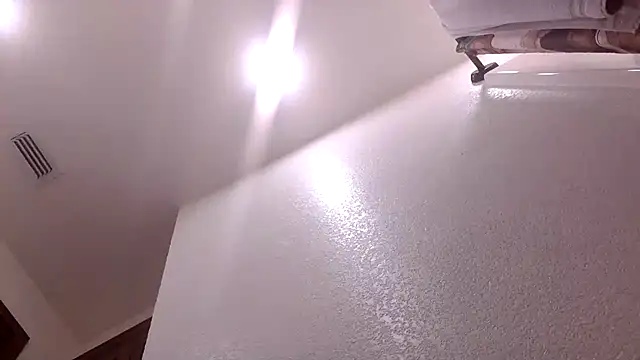 david27sub webcam