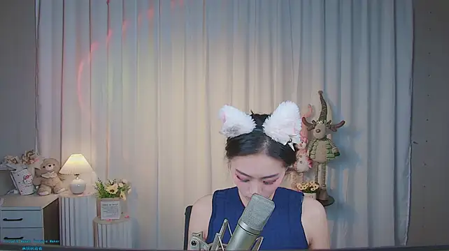 CG-001 webcam