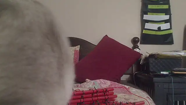 Ireallysquirt