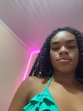 MIMICAMM webcam