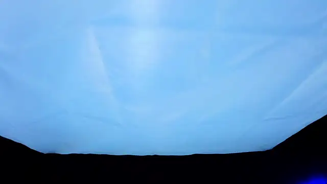 PerryKitty webcam