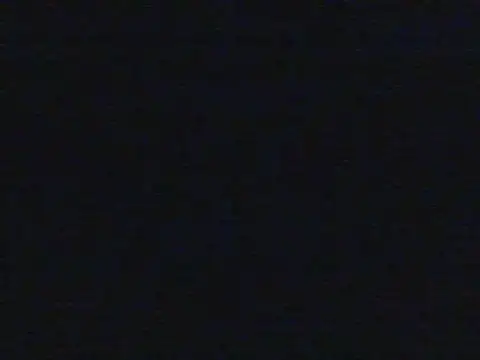 shugabaibe