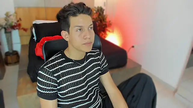 LevinFox webcam