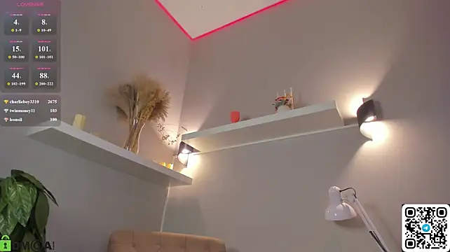 UliKopp webcam