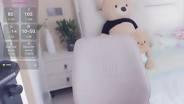 SS-2028 webcam